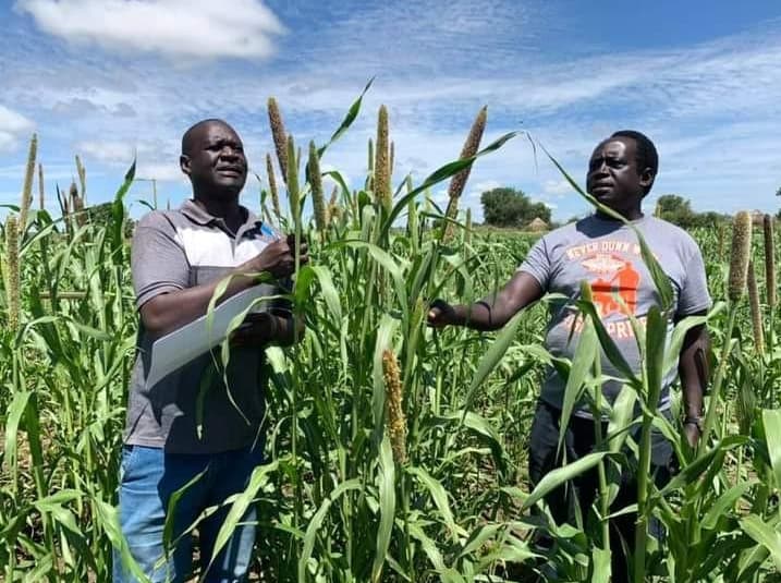 Community members working together in a farming field
